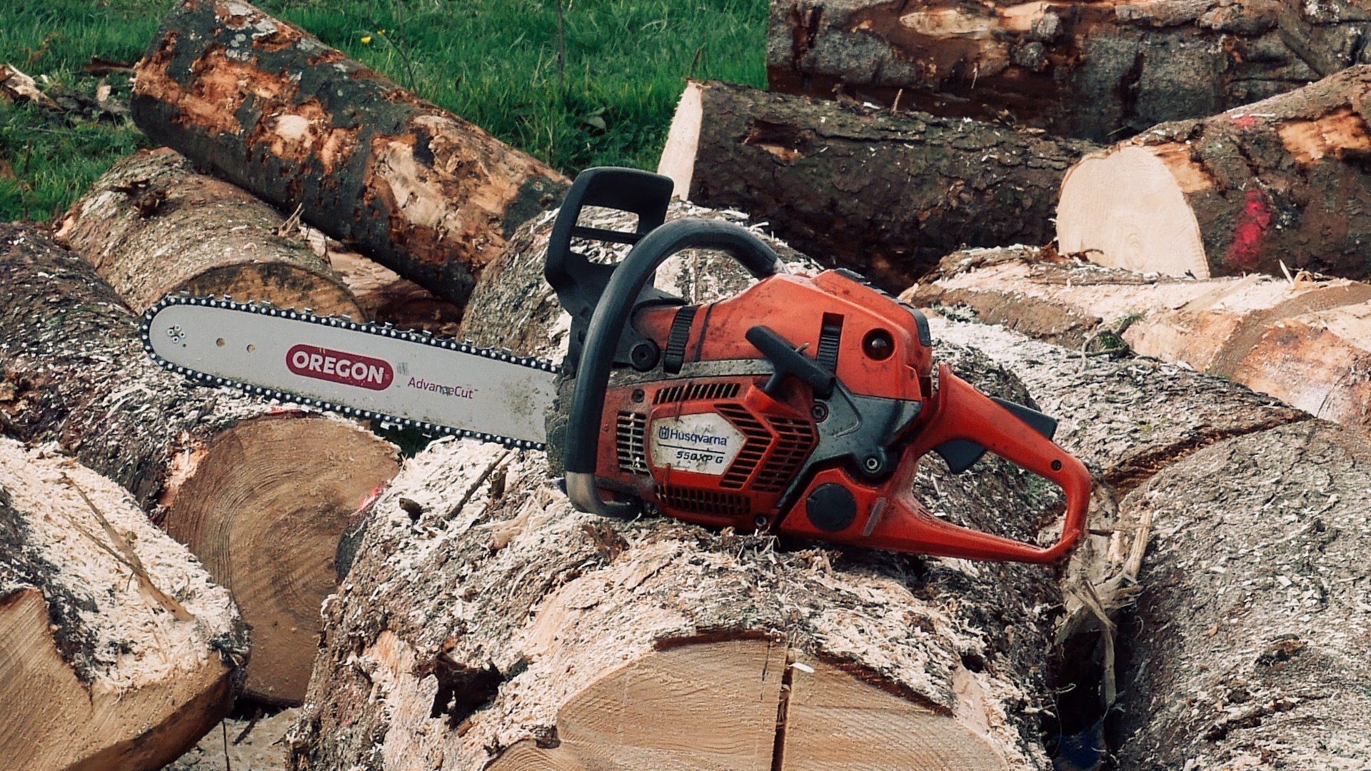 Best Chainsaws of 2024