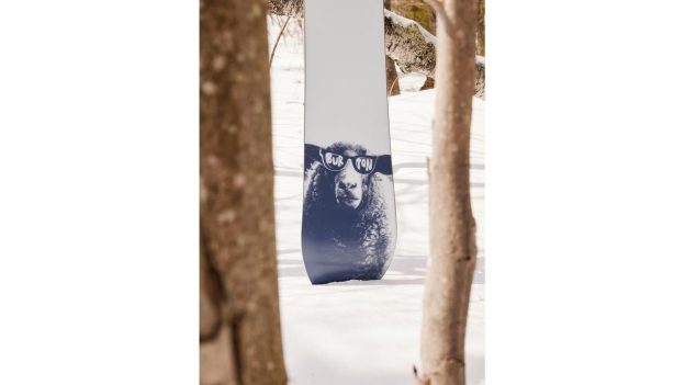 Burton Snowboard