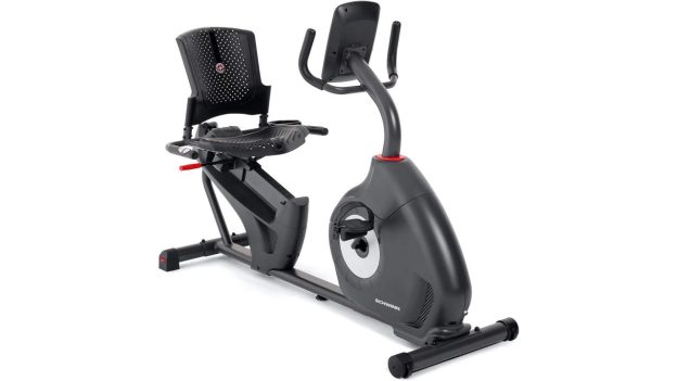 Schwinn 230 Recumbent Exercise Bike