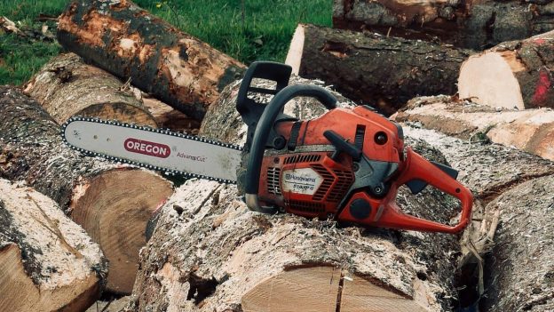 Best Chainsaws